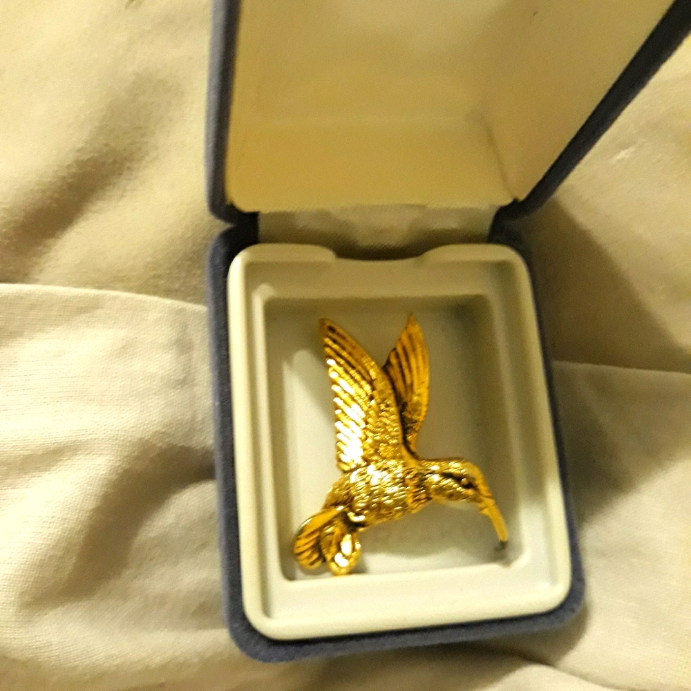 Hummingbird brooch